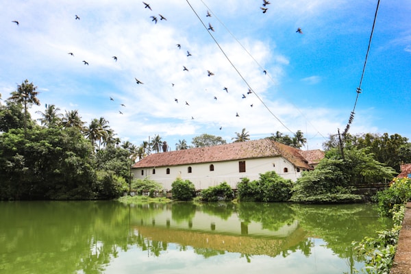 ResidentialLand for sale 500 euro Mumbai, Maharashtra, Mumbai, Maharashtra ResidentialLand for sale 500 euro Mumbai, Maharashtra, Mumbai, Maharashtra